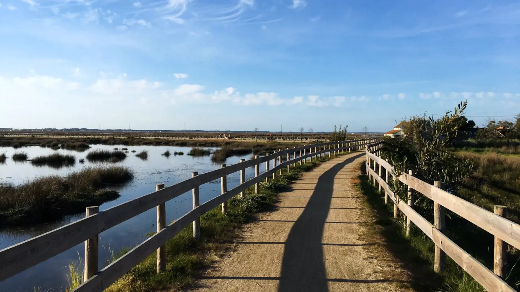 Murtosa