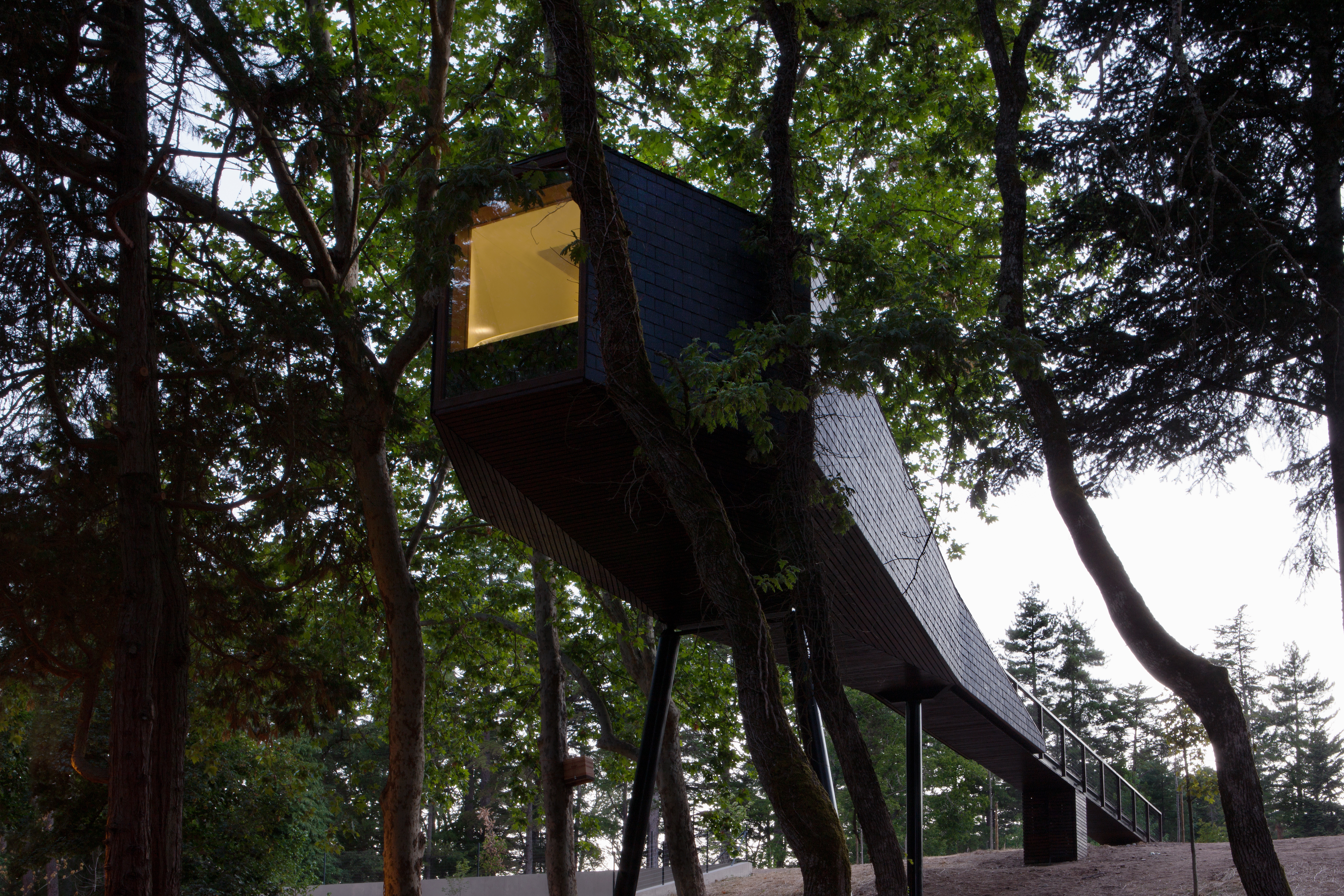 tree house (5).jpg